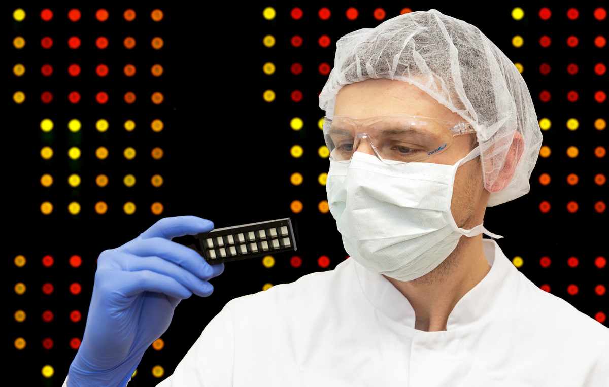 Ein InfectoGnostics-Forscher der fzmb GmbH hält eine Halterung mit Microarray-Chips. Solche Microarrays sollen künftig auch für die Diagnostik von Krebserkrankungen genutzt werden. 