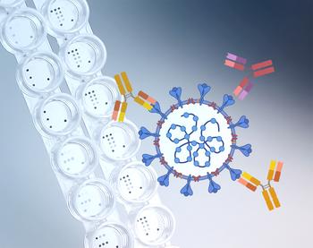 Mit einem Microarray (links) können InfectoGnostics-Forscher gleichzeitig Antikörper gegen SARS-CoV-2 (rechts) und gegen andere Infektionserreger detektieren. (Illustration: InfectoGnostics/BioRender.com)